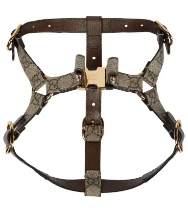 Gucci GG Supreme S/M dog harness | Thumbnail 1 Gucci GG Supreme S/M dog harness | Thumbnail 1