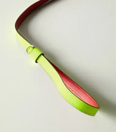 Christian Louboutin Loubileash leather dog leash | Thumbnail 2 Christian Louboutin Loubileash leather dog leash | Thumbnail 2
