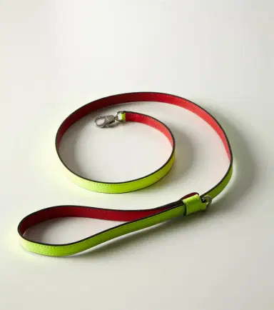 Christian Louboutin Loubileash leather dog leash | Thumbnail 3 Christian Louboutin Loubileash leather dog leash | Thumbnail 3