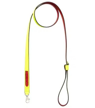 Christian Louboutin Loubileash leather dog leash | Thumbnail 1 Christian Louboutin Loubileash leather dog leash | Thumbnail 1