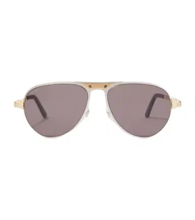 Cartier Eyewear Collection Santos De Cartier aviator sunglasses | Thumbnail 1 Cartier Eyewear Collection Santos De Cartier aviator sunglasses | Thumbnail 1