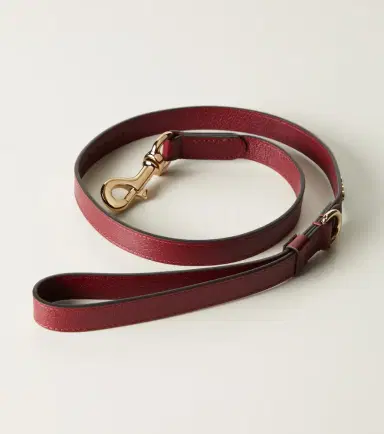 Gucci Small/Medium leather dog leash | Thumbnail 3 Gucci Small/Medium leather dog leash | Thumbnail 3