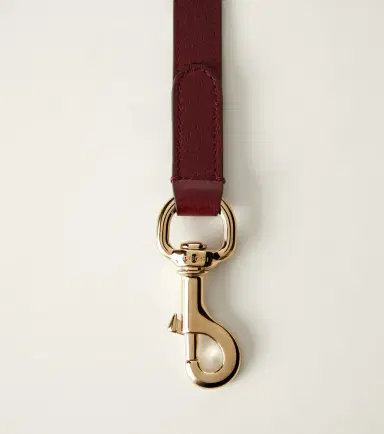 Gucci Small/Medium leather dog leash | Thumbnail 4 Gucci Small/Medium leather dog leash | Thumbnail 4