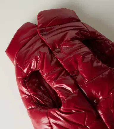 Moncler Poldo Dog Couture dog coat | Thumbnail 2 Moncler Poldo Dog Couture dog coat | Thumbnail 2