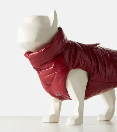 Moncler Poldo Dog Couture dog coat | Thumbnail 3 Moncler Poldo Dog Couture dog coat | Thumbnail 3