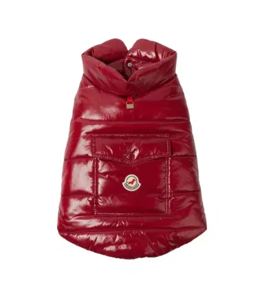 Moncler Poldo Dog Couture dog coat | Thumbnail 1 Moncler Poldo Dog Couture dog coat | Thumbnail 1