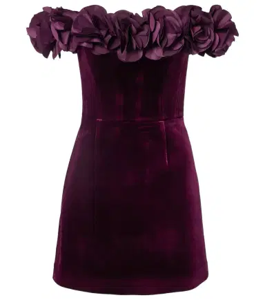Rebecca Vallance Floral-appliqué velvet minidress | Thumbnail 1 Rebecca Vallance Floral-appliqué velvet minidress | Thumbnail 1