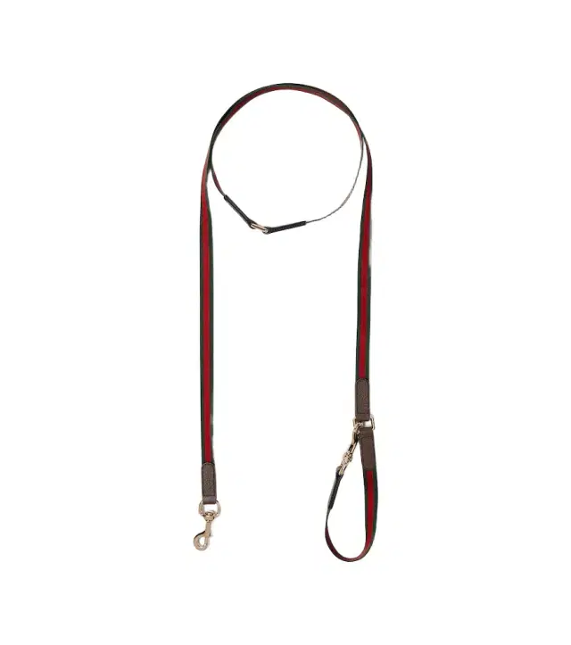 Web Stripe dog leash Web Stripe dog leash