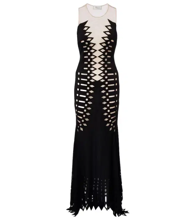 Mesh gown Mesh gown