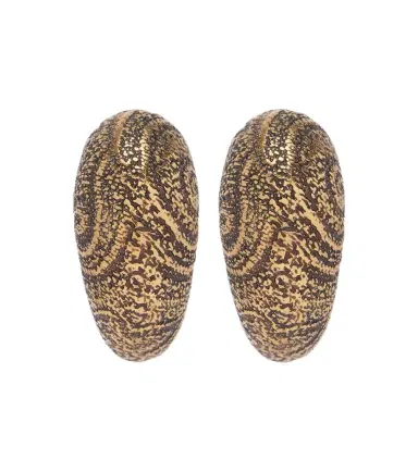 Etro Arnica Small earrings | Thumbnail 1 Etro Arnica Small earrings | Thumbnail 1