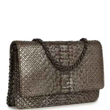 Chanel Chanel Wallet On Chain WOC Silver and Brown Aged Python Antique Silver Hardware | Thumbnail 2 Chanel Chanel Wallet On Chain WOC Silver and Brown Aged Python Antique Silver Hardware | Thumbnail 2