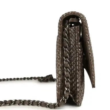 Chanel Chanel Wallet On Chain WOC Silver and Brown Aged Python Antique Silver Hardware | Thumbnail 3 Chanel Chanel Wallet On Chain WOC Silver and Brown Aged Python Antique Silver Hardware | Thumbnail 3