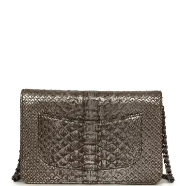 Chanel Chanel Wallet On Chain WOC Silver and Brown Aged Python Antique Silver Hardware | Thumbnail 4 Chanel Chanel Wallet On Chain WOC Silver and Brown Aged Python Antique Silver Hardware | Thumbnail 4