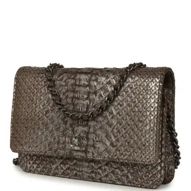 Chanel Chanel Wallet On Chain WOC Silver and Brown Aged Python Antique Silver Hardware | Thumbnail 5 Chanel Chanel Wallet On Chain WOC Silver and Brown Aged Python Antique Silver Hardware | Thumbnail 5