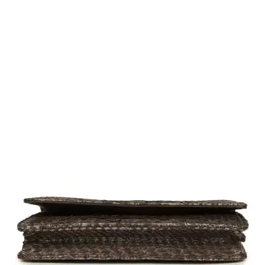 Chanel Chanel Wallet On Chain WOC Silver and Brown Aged Python Antique Silver Hardware | Thumbnail 6 Chanel Chanel Wallet On Chain WOC Silver and Brown Aged Python Antique Silver Hardware | Thumbnail 6