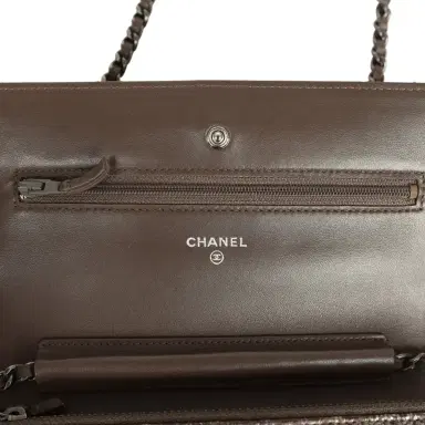 Chanel Chanel Wallet On Chain WOC Silver and Brown Aged Python Antique Silver Hardware | Thumbnail 8 Chanel Chanel Wallet On Chain WOC Silver and Brown Aged Python Antique Silver Hardware | Thumbnail 8