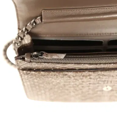 Chanel Chanel Wallet On Chain WOC Silver and Brown Aged Python Antique Silver Hardware | Thumbnail 10 Chanel Chanel Wallet On Chain WOC Silver and Brown Aged Python Antique Silver Hardware | Thumbnail 10
