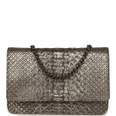 Chanel Chanel Wallet On Chain WOC Silver and Brown Aged Python Antique Silver Hardware | Thumbnail 1 Chanel Chanel Wallet On Chain WOC Silver and Brown Aged Python Antique Silver Hardware | Thumbnail 1