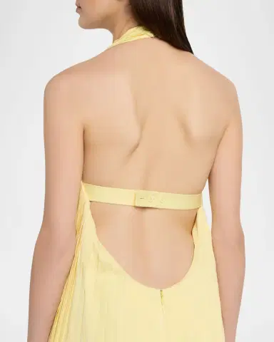 Et Ochs Backless Pleated Cotton Poplin Maxi Dress | Thumbnail 5 Et Ochs Backless Pleated Cotton Poplin Maxi Dress | Thumbnail 5