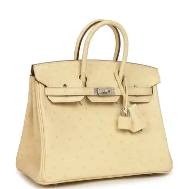 HERMÈS Hermes Birkin 25 Vanille Ostrich Palladium Hardware | Thumbnail 2 HERMÈS Hermes Birkin 25 Vanille Ostrich Palladium Hardware | Thumbnail 2