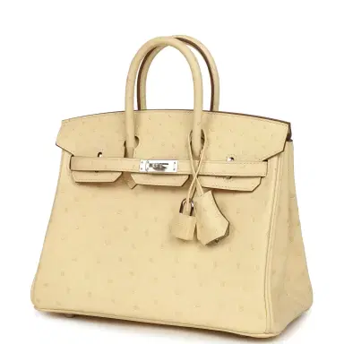 HERMÈS Hermes Birkin 25 Vanille Ostrich Palladium Hardware | Thumbnail 5 HERMÈS Hermes Birkin 25 Vanille Ostrich Palladium Hardware | Thumbnail 5