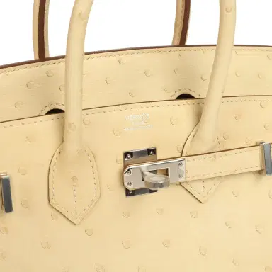 HERMÈS Hermes Birkin 25 Vanille Ostrich Palladium Hardware | Thumbnail 7 HERMÈS Hermes Birkin 25 Vanille Ostrich Palladium Hardware | Thumbnail 7