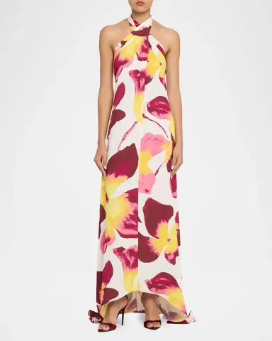 Diane von Furstenberg Tamsin Backless Floral-Print Halter Maxi Dress | Thumbnail 2 Diane von Furstenberg Tamsin Backless Floral-Print Halter Maxi Dress | Thumbnail 2