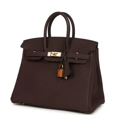 HERMÈS Hermes Birkin 25 Rouge Sellier Togo Gold Hardware | Thumbnail 5 HERMÈS Hermes Birkin 25 Rouge Sellier Togo Gold Hardware | Thumbnail 5