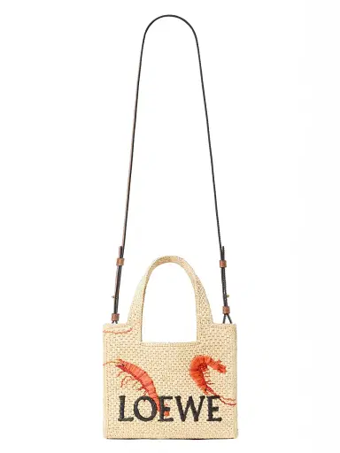 Loewe Women's Font Mini Embroidered Raffia Tote Bag | Thumbnail 6 Loewe Women's Font Mini Embroidered Raffia Tote Bag | Thumbnail 6