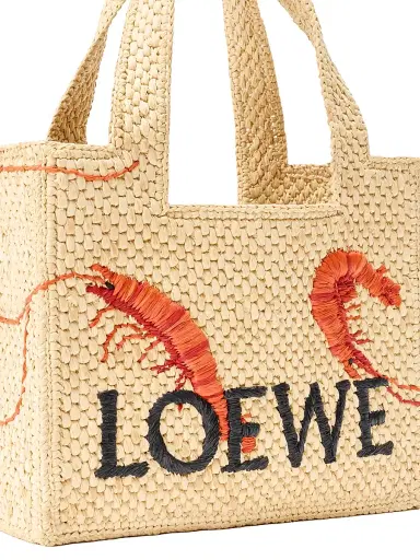 Loewe Women's Font Mini Embroidered Raffia Tote Bag | Thumbnail 8 Loewe Women's Font Mini Embroidered Raffia Tote Bag | Thumbnail 8