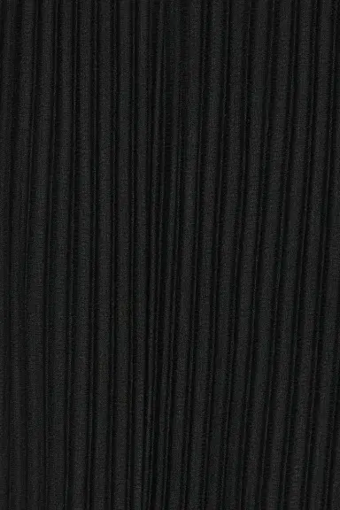 Homme Plisse Issey Miyake Tailored Pleats 2 Pants | Thumbnail 5 Homme Plisse Issey Miyake Tailored Pleats 2 Pants | Thumbnail 5