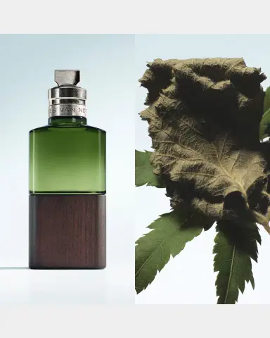 Dries Van Noten Cannabis Patchouli Eau de Parfum, 3.4 oz. | Thumbnail 2 Dries Van Noten Cannabis Patchouli Eau de Parfum, 3.4 oz. | Thumbnail 2