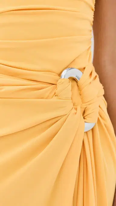SIMKHAI Emma Sleeveless Bustier Gown Mango | Thumbnail 6 SIMKHAI Emma Sleeveless Bustier Gown Mango | Thumbnail 6