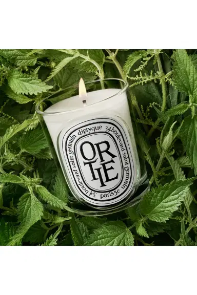 Diptyque Ortie Classic Candle | Thumbnail 2 Diptyque Ortie Classic Candle | Thumbnail 2