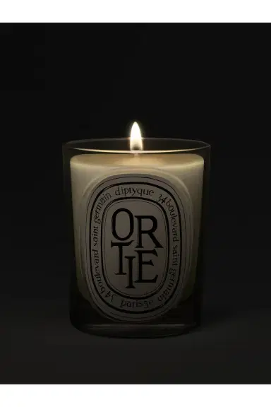 Diptyque Ortie Classic Candle | Thumbnail 3 Diptyque Ortie Classic Candle | Thumbnail 3