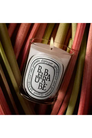 Diptyque Rhubarbe Classic Candle | Thumbnail 2 Diptyque Rhubarbe Classic Candle | Thumbnail 2