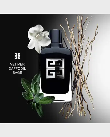 Givenchy Men's Gentleman Society Deodorant Stick, 2.5 oz. | Thumbnail 4 Givenchy Men's Gentleman Society Deodorant Stick, 2.5 oz. | Thumbnail 4
