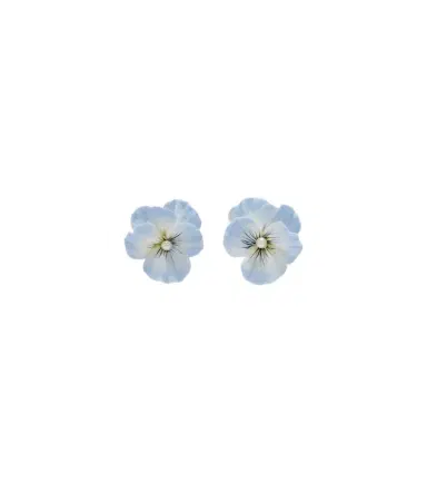 Jennifer Behr Viletta embellished earrings | Thumbnail 1 Jennifer Behr Viletta embellished earrings | Thumbnail 1
