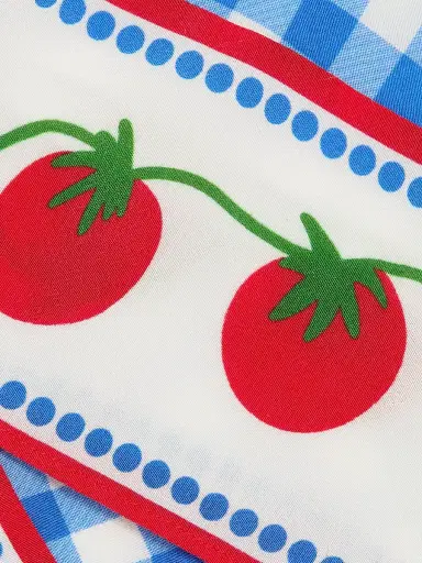 RAILS Women's Grazia Gingham A-Line Skirt - Gingham Tomatoes - Size XS | Thumbnail 7 RAILS Women's Grazia Gingham A-Line Skirt - Gingham Tomatoes - Size XS | Thumbnail 7