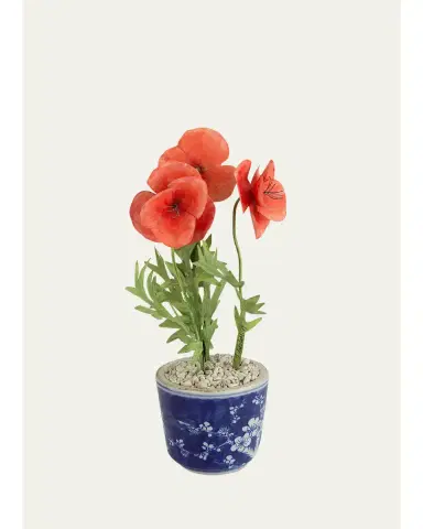 Tommy Mitchell Poppy August Birth Flower in Ceramic Pot | Thumbnail 1 Tommy Mitchell Poppy August Birth Flower in Ceramic Pot | Thumbnail 1
