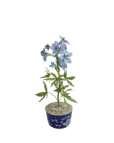 Tommy Mitchell Delphinium July Birth Flower in Ceramic Pot | Thumbnail 1 Tommy Mitchell Delphinium July Birth Flower in Ceramic Pot | Thumbnail 1