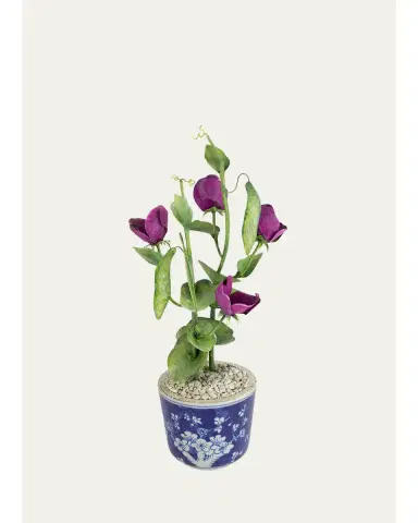 Tommy Mitchell Sweet Pea April Birth Flower in Ceramic Pot | Thumbnail 1 Tommy Mitchell Sweet Pea April Birth Flower in Ceramic Pot | Thumbnail 1