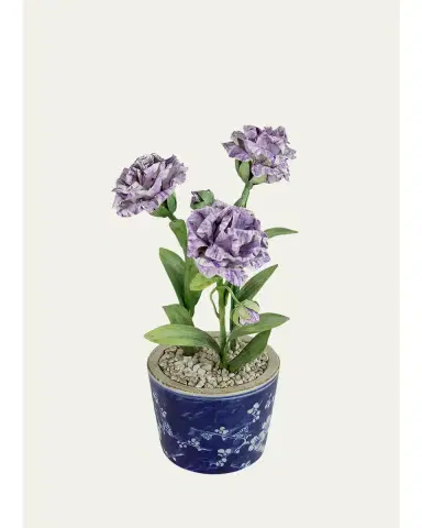 Tommy Mitchell Carnation January Birth Flower in Ceramic Pot | Thumbnail 1 Tommy Mitchell Carnation January Birth Flower in Ceramic Pot | Thumbnail 1