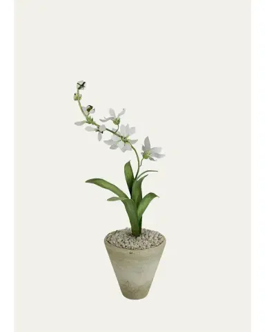 Tommy Mitchell Freesia March Birth Flower in White Terracotta Pot | Thumbnail 1 Tommy Mitchell Freesia March Birth Flower in White Terracotta Pot | Thumbnail 1
