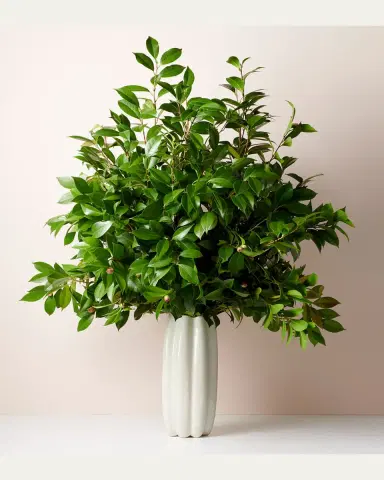AERIN Mirabelle Tall Vase | Thumbnail 2 AERIN Mirabelle Tall Vase | Thumbnail 2