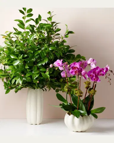 AERIN Mirabelle Tall Vase | Thumbnail 4 AERIN Mirabelle Tall Vase | Thumbnail 4