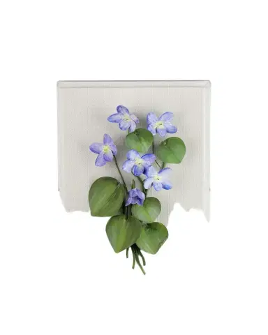 Tommy Mitchell Violet February Birth Flower Wall Art | Thumbnail 1 Tommy Mitchell Violet February Birth Flower Wall Art | Thumbnail 1