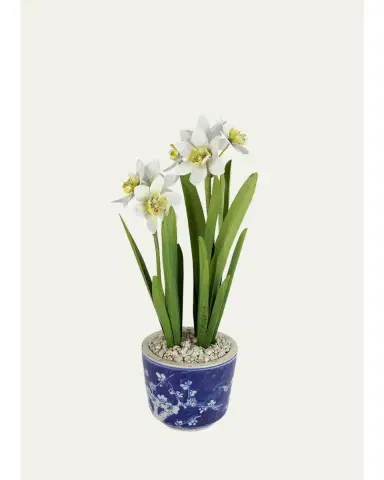 Tommy Mitchell Narcissus December Birth Flower in Blue/White Ceramic Pot | Thumbnail 1 Tommy Mitchell Narcissus December Birth Flower in Blue/White Ceramic Pot | Thumbnail 1