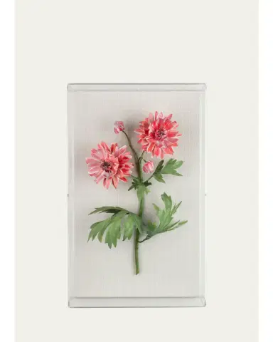 Tommy Mitchell Crysanthemum November Birth Flower Wall Art | Thumbnail 1 Tommy Mitchell Crysanthemum November Birth Flower Wall Art | Thumbnail 1
