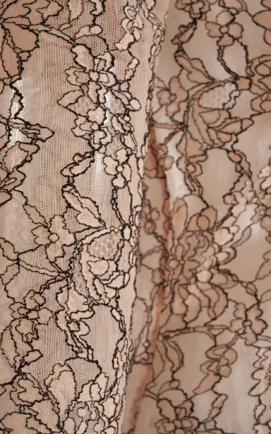 Valentino Garavani Lace Bodysuit | Thumbnail 5 Valentino Garavani Lace Bodysuit | Thumbnail 5